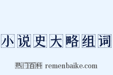 小说史大略组词是什么意思的图片